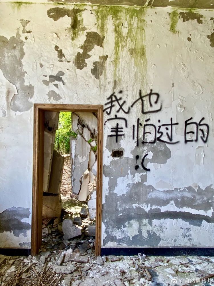 这些废墟上的标语,道出了生活