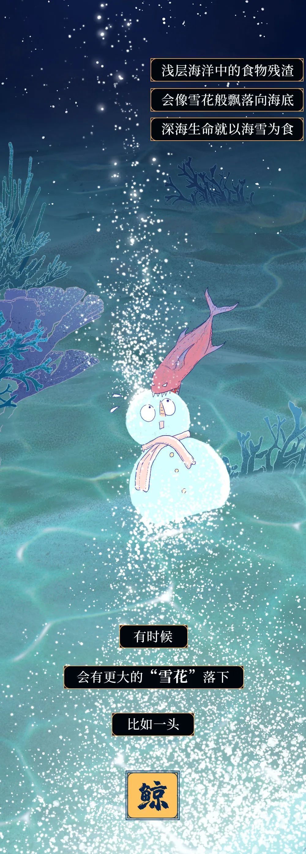 鲸落|世界上最浪漫的死亡曝光：一鲸落，万物生