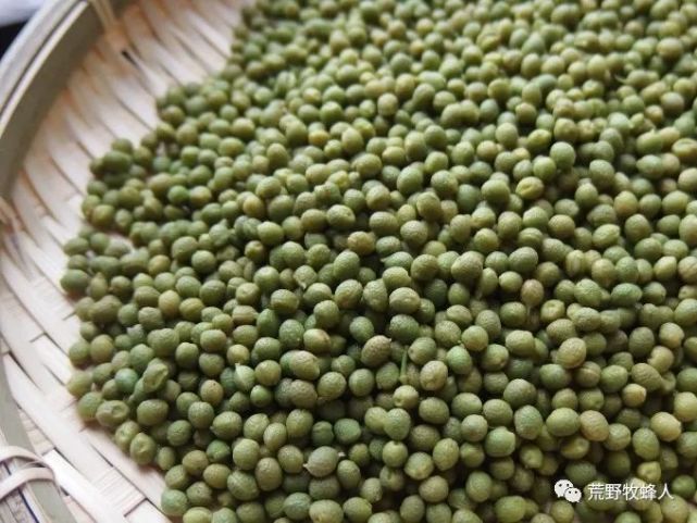 奶奶的妙招山椒下酒菜 下酒菜 花椒 山椒 小鱼干