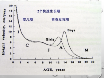 青春期生长曲线图图片