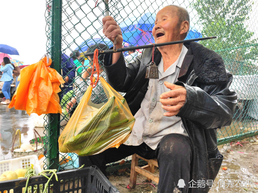 我热烈欢迎,还保证都是没喷农药的地道农家菜,但若是可怜我这老头子
