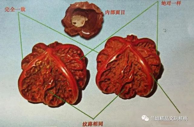 文玩核桃造假的那些事儿