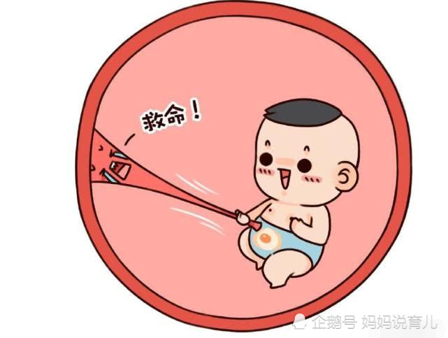 胎动频繁是缺氧吗 学会这2种自查方式 及时发现宝宝异常 胎动 宝宝 胎儿 孕妈 孕期