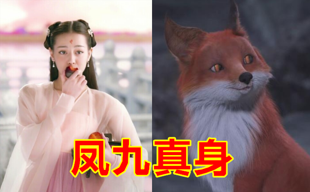 青白二蛇的真身,风天逸的真身,凤九的真身,看到鎏英:爱了!