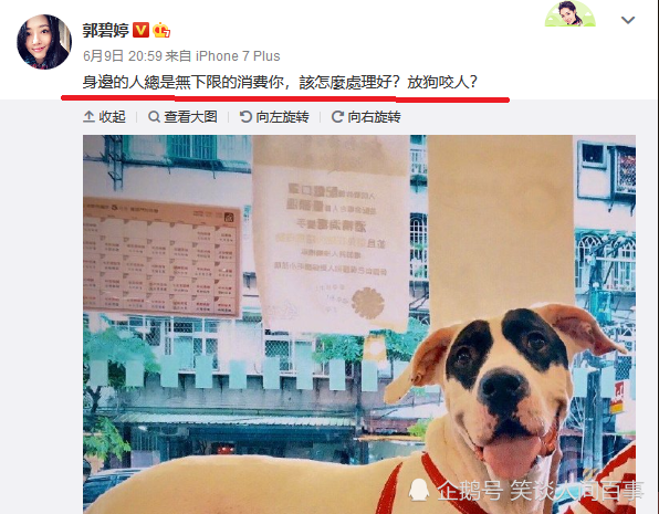 郭碧婷称被人无下限消费 向太说谁敢消费放狗去咬 咬她自己吗 腾讯新闻