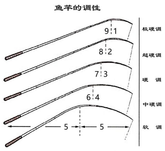 鱼竿调性 鱼竿28调什么意思 28调鱼竿综合性强 适合绝大钓鱼人 腾讯网