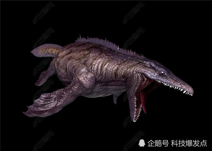 岩的矿洞当中,刚开始科学家觉得这些化石可能是一些体型庞大的鳄鱼