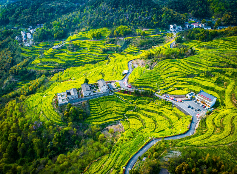 我县在创建山上美丽交通环中,一条条公路化为一条条金纽带,交相呼应