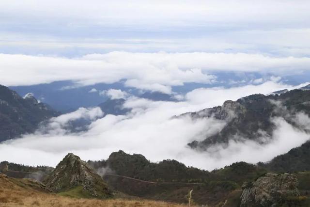 寻访秦岭光头山:路封了上不去?但在鸡窝子,还有一条细路可上山