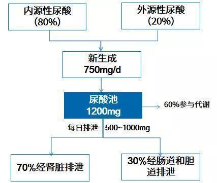 严格控制饮食后尿酸会下降多少 能把尿酸降至正常吗 医生告诉您 腾讯新闻