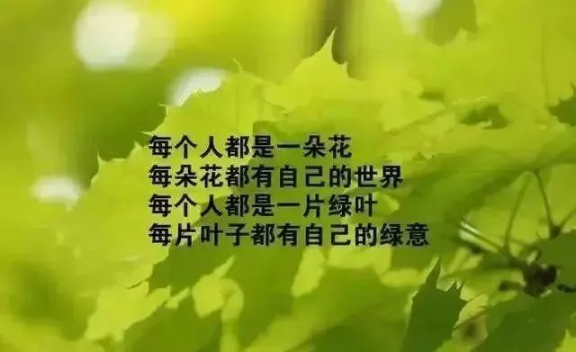 早安正能量精闢語錄,早晨激勵人心的勵志正能量句子