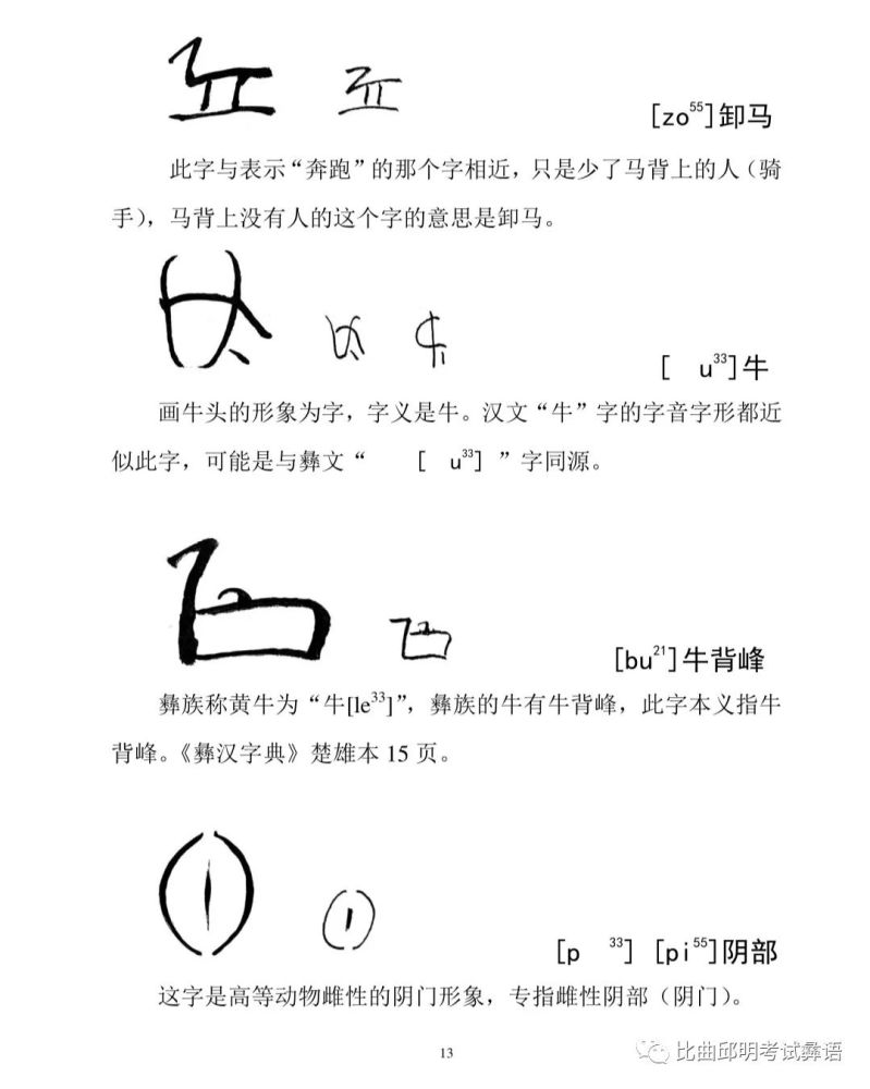 古彝文 象形字会彝语就会读的彝文 腾讯新闻