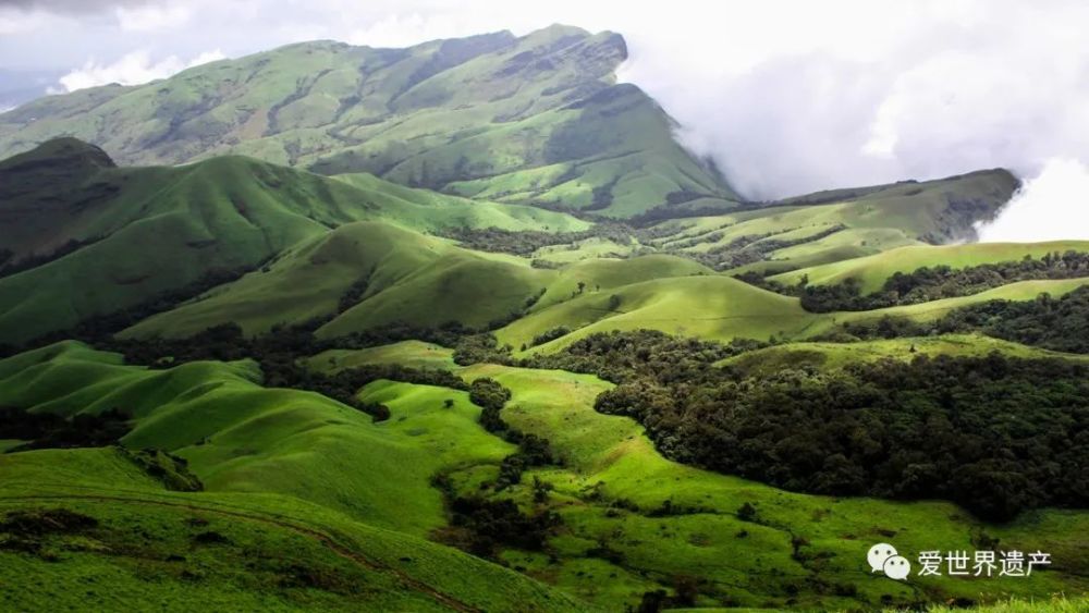 西高止山脉位于印度南部,德干高原的西部,呈南北走向,与印度次大陆西