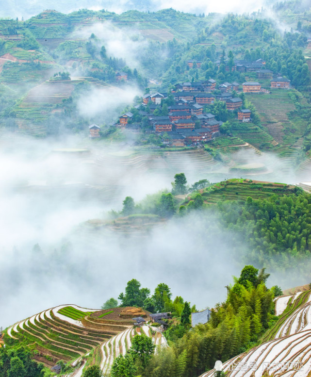 山中有雾就有仙六月龙脊云雾缭绕梯田人家也成了人间仙境