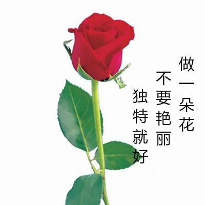 6月15日 漂亮的一段话 腾讯新闻