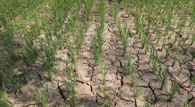 我国北方缺水的六大原因|北方|水土流失