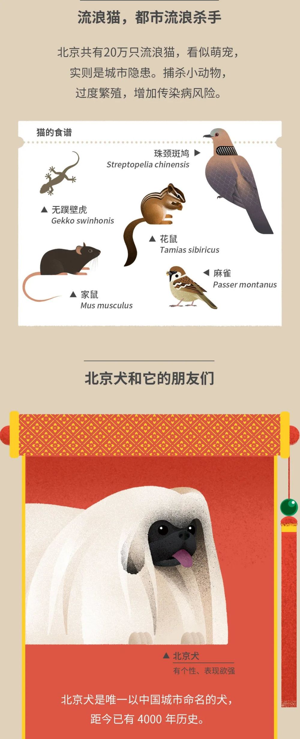 北京|北京城市自然生灵