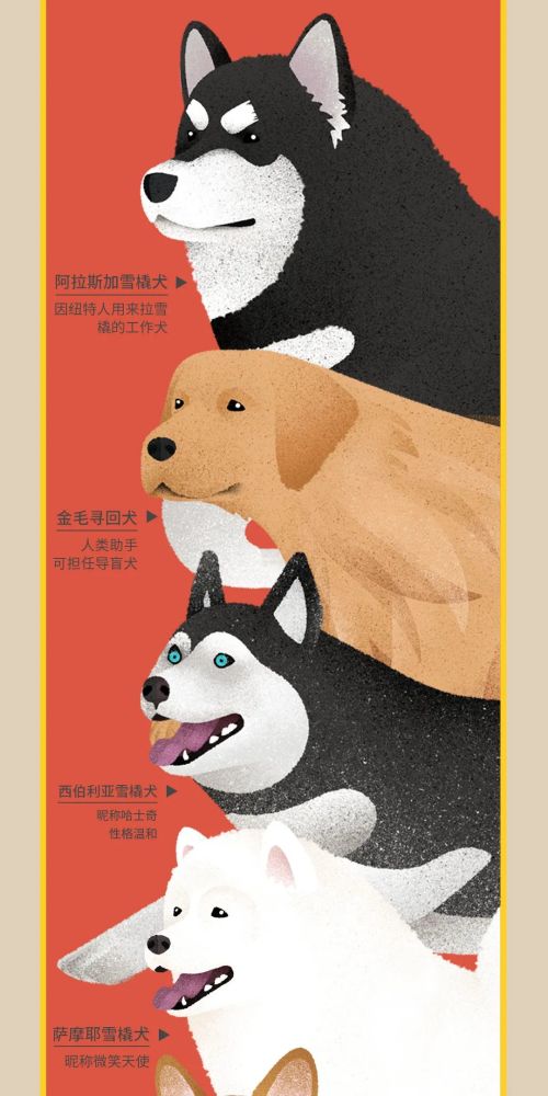 北京|北京城市自然生灵