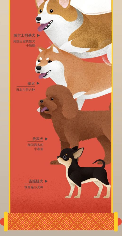 北京|北京城市自然生灵