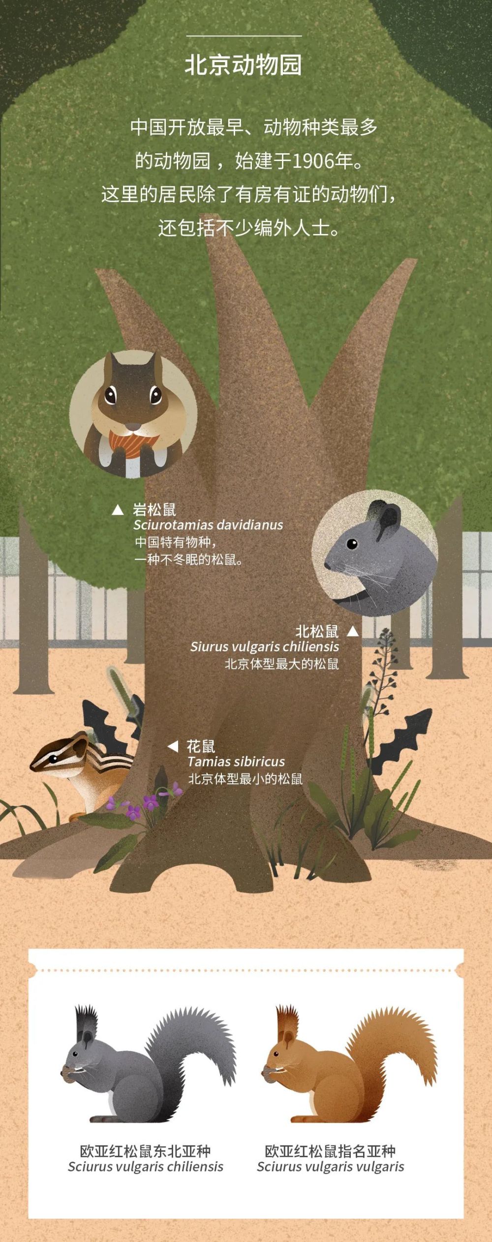 北京|北京城市自然生灵