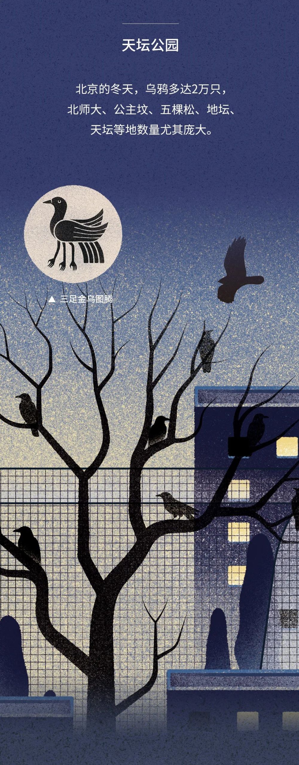 北京|北京城市自然生灵