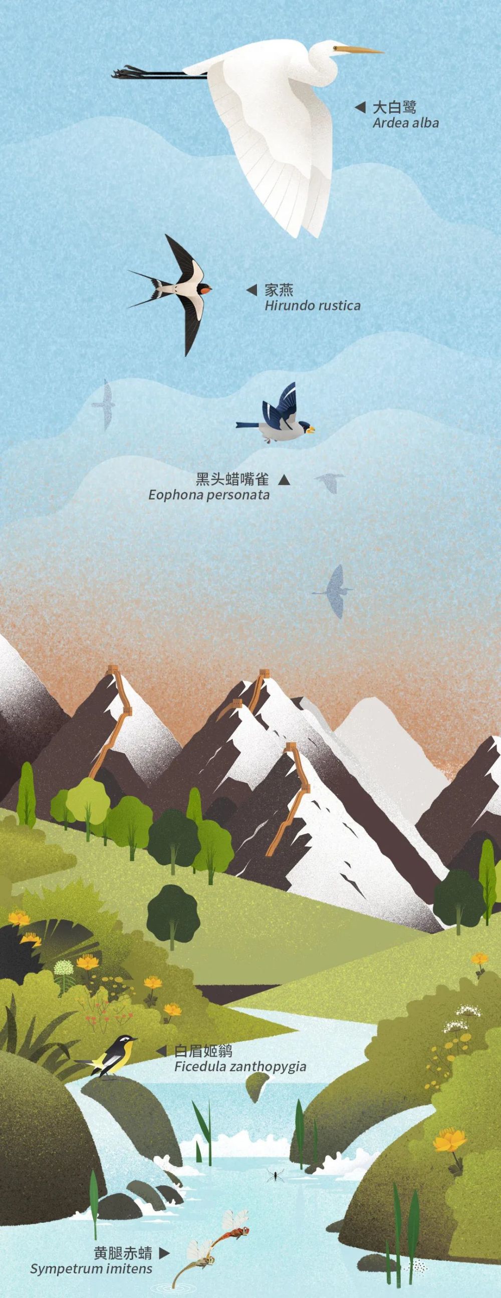 北京|北京城市自然生灵