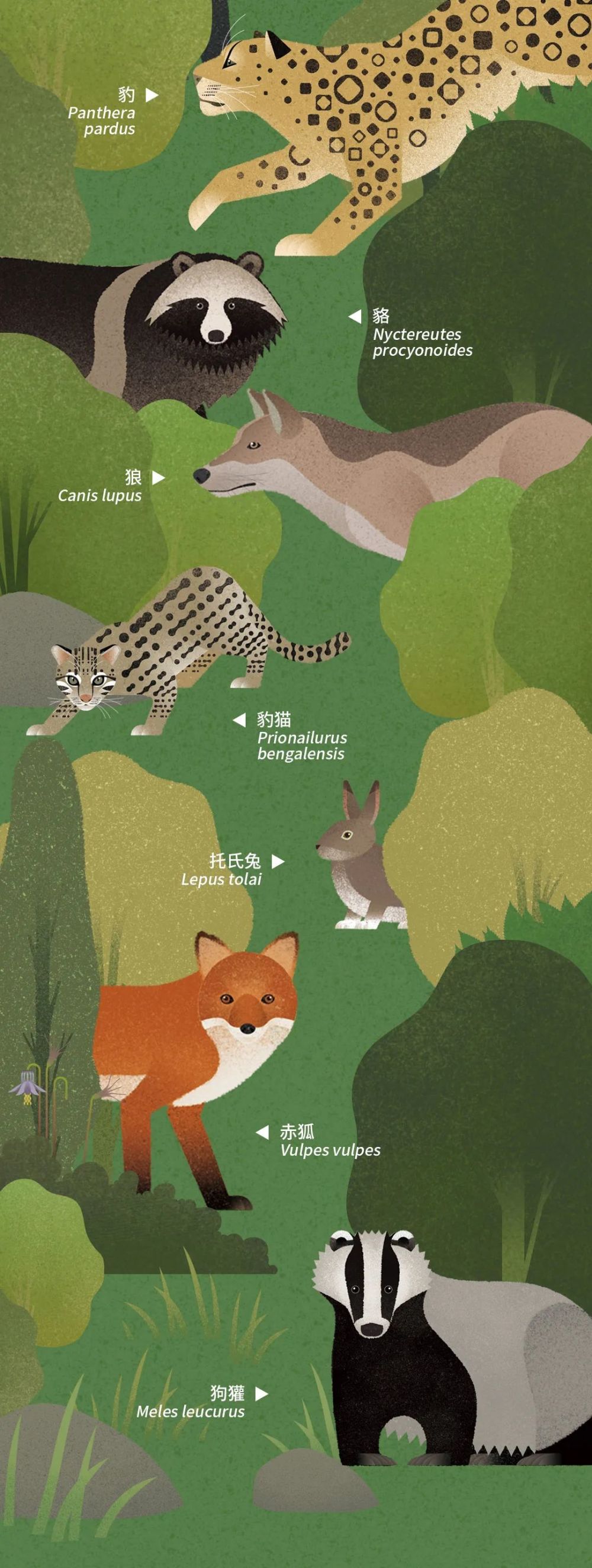 北京|北京城市自然生灵