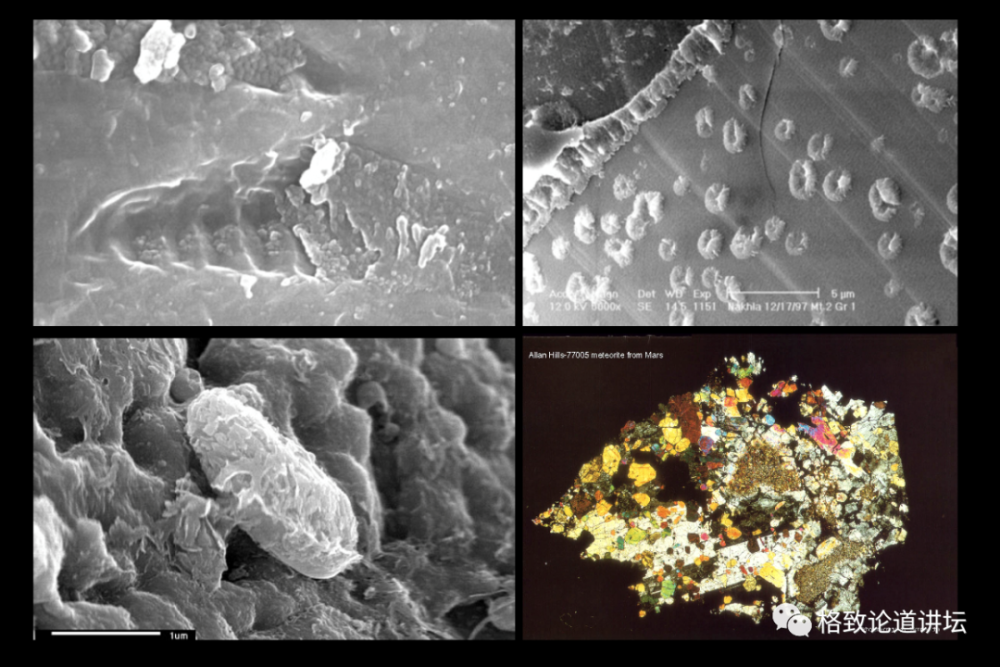 火星|火星曾经有过生命？“天问一号”将对火星进行全球探测