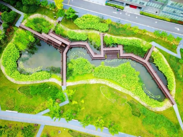 杨浦滨江藏着一个高颜值的原生态雨水花园