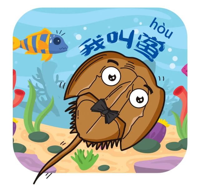 地球|世界自然保护联盟|中华鲎|化石