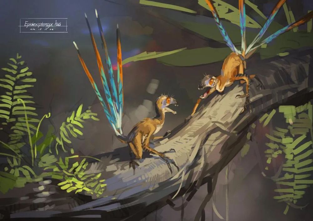 在分类上,耀龙属于擅攀鸟龙科,耀龙属,只有一个