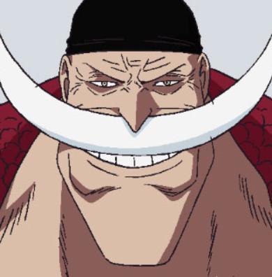 海贼王:马尔科想让猫蝮蛇带"给路飞的口信"到底是什么?