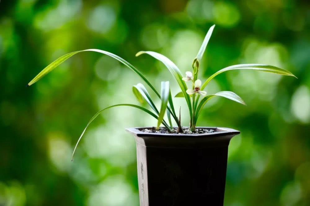 起名案例分析 6月11日出生的木宝宝取名应该注意哪些问题 腾讯新闻