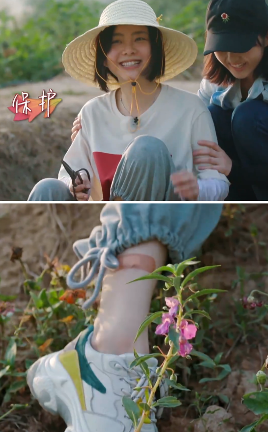 爱秀腿的谭松韵为啥在向往4穿长裤?