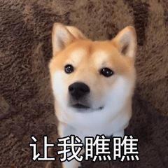 景宁畲族自治县|曾在宁波出现！消失135年后，它重现浙江！太罕见…