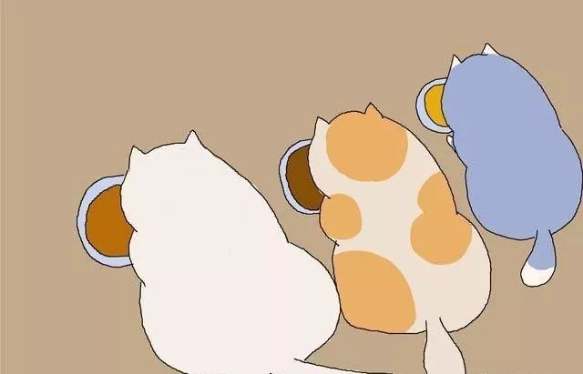 猫吃饭的样子受到猫咪性格影响和养猫方式有关系