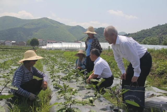 农业银行广信支行做高洲村人心中的娘家 眼中的亲人 腾讯新闻