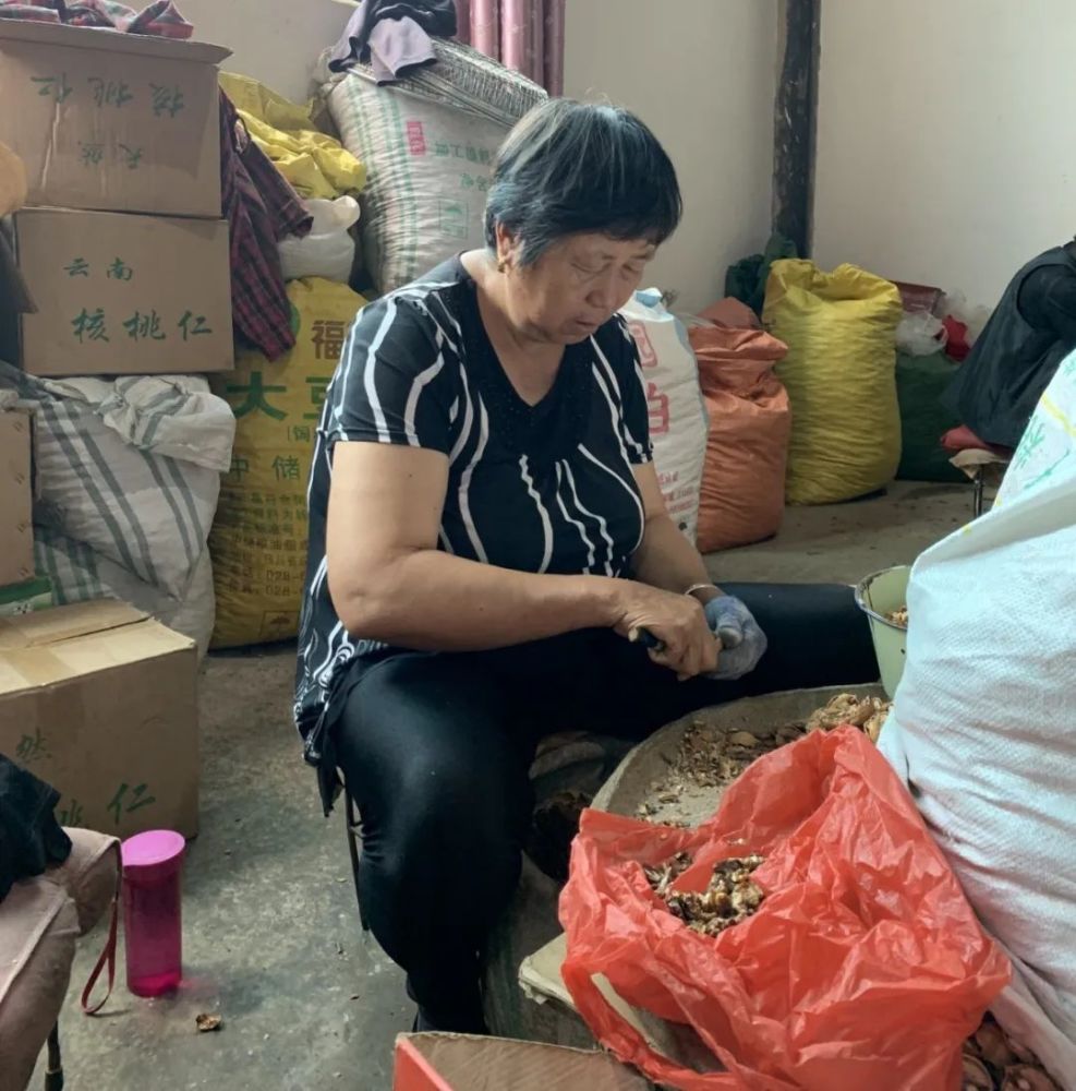 创业发展女能人周丽芬:当好脱贫致富"领头雁"