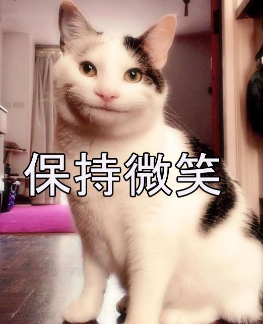 这只喵星人叫ollie,生活在英国.