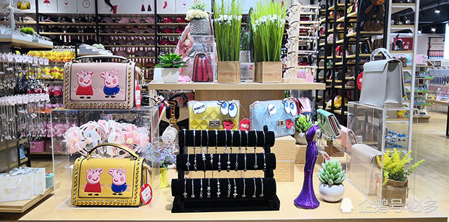 家居饰品店加盟排行_十元时尚饰品店加盟项目深度解读