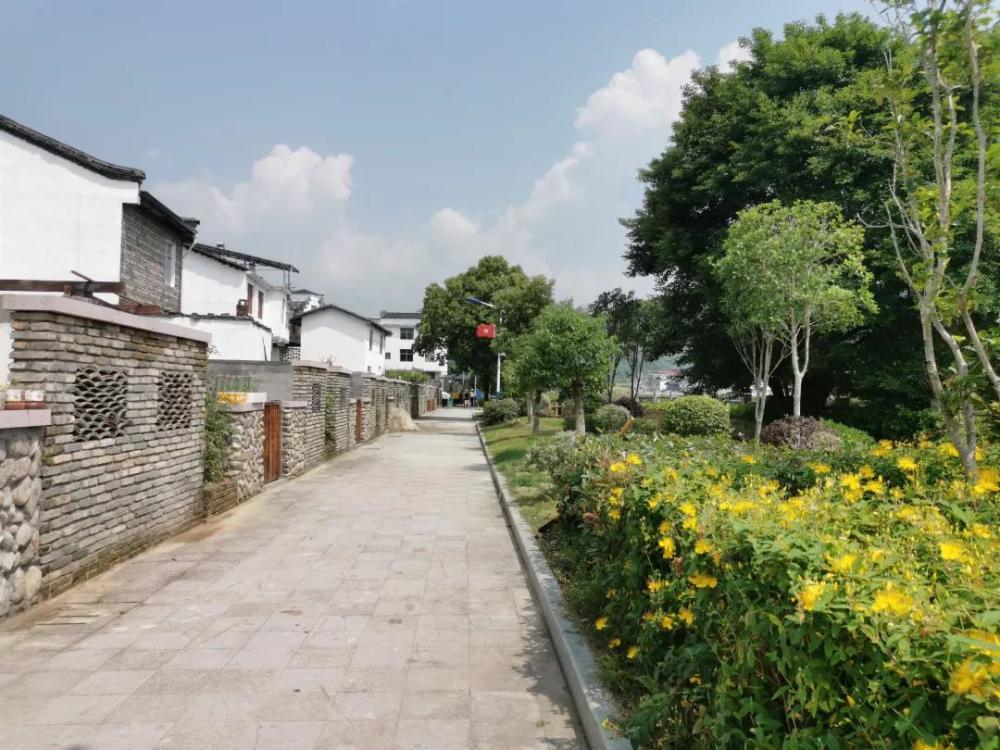 三明泰宁大田乡:芳香盛开,蝴蝶自来的诗意栖居地
