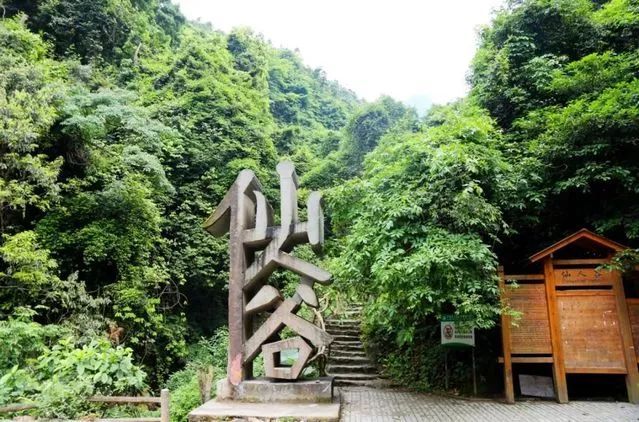 仙人谷登山步道沿途林海奇觀美不勝收行走富含氧離子的雲杉林海區