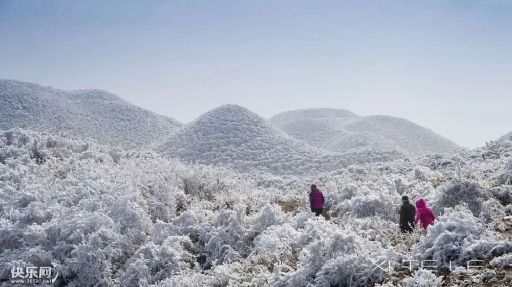贵港平天山顶惊现云海奇观!
