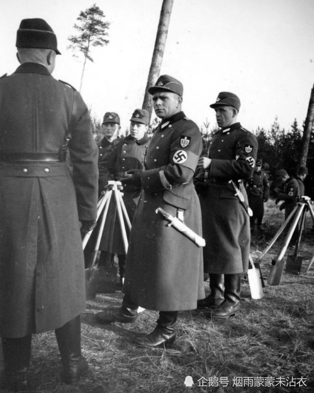 二战德国的劳动服务团是一个什么性质的机构