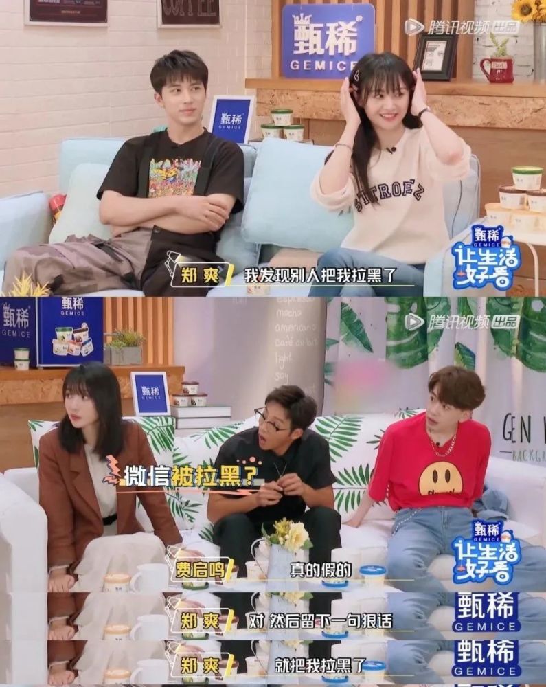 郑爽|郑爽，错了？怎么可能！