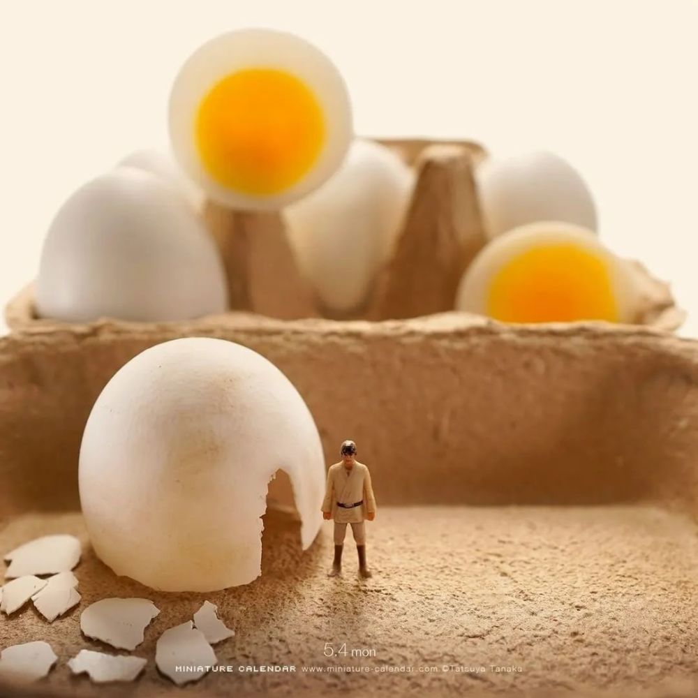 这个日本摄影师用微观的摄影技巧拍出的照片太有创意了