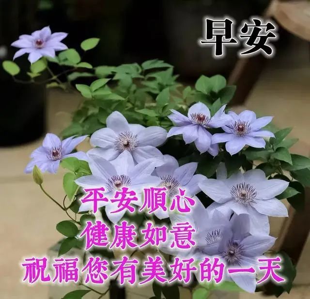 6月12日最漂亮的早上好祝福语图片温馨清晨群发短语暧心问候动图 我的朋友 安康 好心情