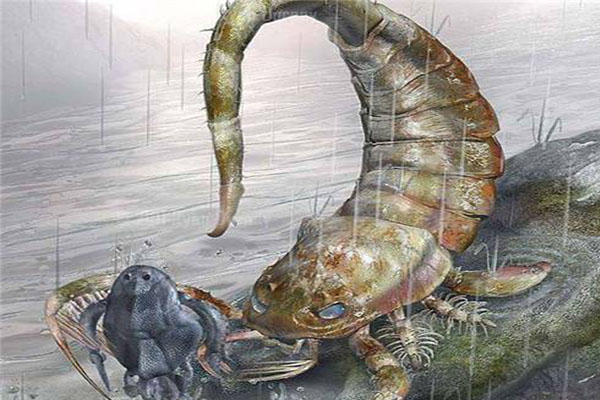 十大灭绝恐怖动物名单所幸都已经成为化石