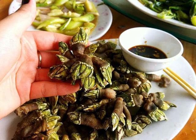 鬼爪螺的长相确实挺吓人的,顶部尖尖突起分成数瓣,就像一个爪子,别看