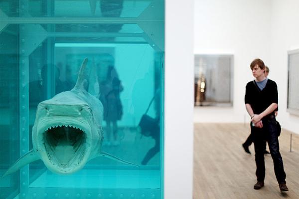 2012达米恩·赫斯特个展现场 damien hirst and science ltd.